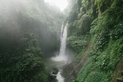 秘密研究所